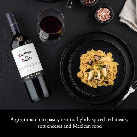 Casillero del Diablo Malbec Red Wine 750ml - (Pack of 6) - Washington Vapes Wholesale