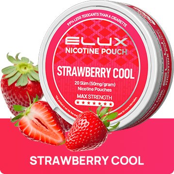 Elux Nicotine Pouches - (Pack of 10) - Washington Vapes Wholesale