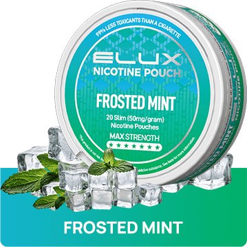 Elux Nicotine Pouches - (Pack of 10) - Washington Vapes Wholesale