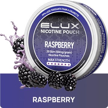 Elux Nicotine Pouches - (Pack of 10) - Washington Vapes Wholesale