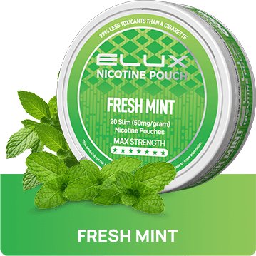 Elux Nicotine Pouches - (Pack of 10) - Washington Vapes Wholesale