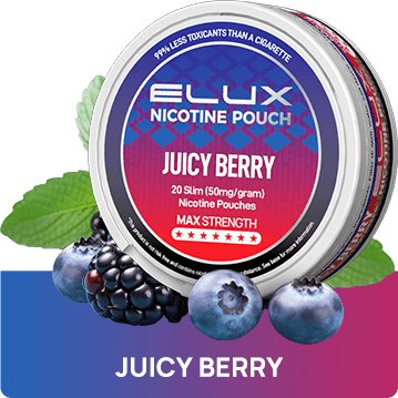 Elux Nicotine Pouches - (Pack of 10) - Washington Vapes Wholesale