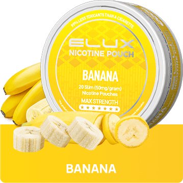 Elux Nicotine Pouches - (Pack of 10) - Washington Vapes Wholesale
