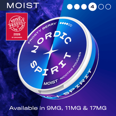 Nordic Sprit Nicotine Pouches - (Pack of 5) - Washington Vapes Wholesale