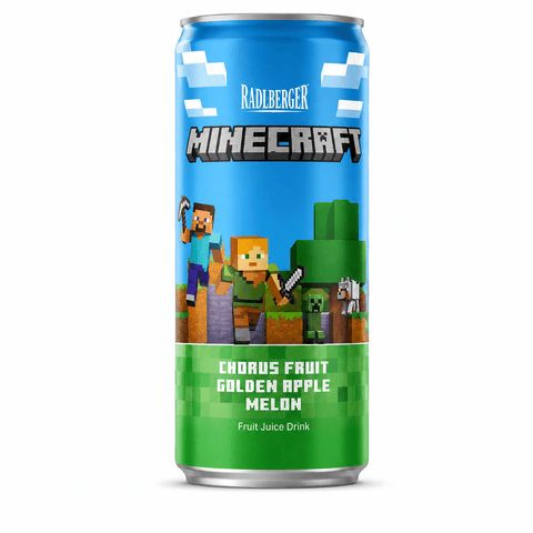 Radiberger Minecraft Fruit Drinks - (Pack of 24) - Washington Vapes Wholesale