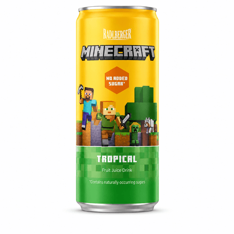 Radiberger Minecraft Fruit Drinks - (Pack of 24) - Washington Vapes Wholesale